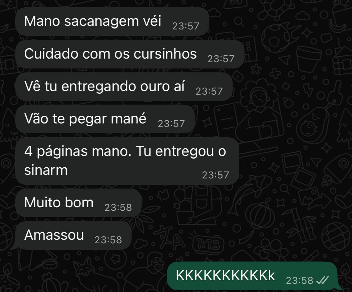 Depoimento de aluno sobre o resumo do Estatuto do Desarmamento (SINARM) em 4 páginas